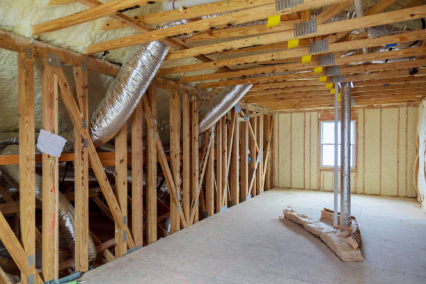 Best Eco-Friendly Insulation in Trion, GA