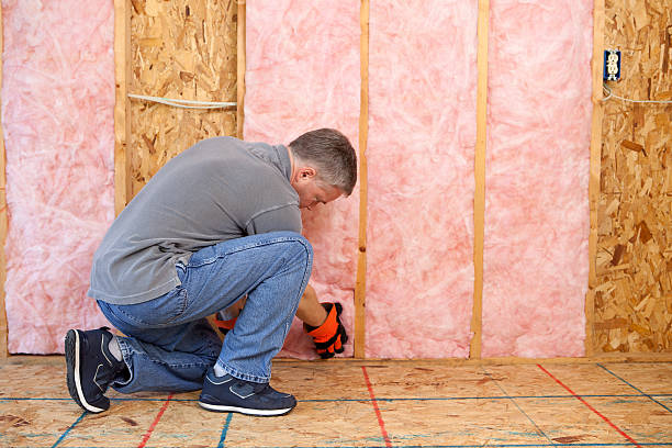 Best Spray Foam Insulation in Trion, GA
