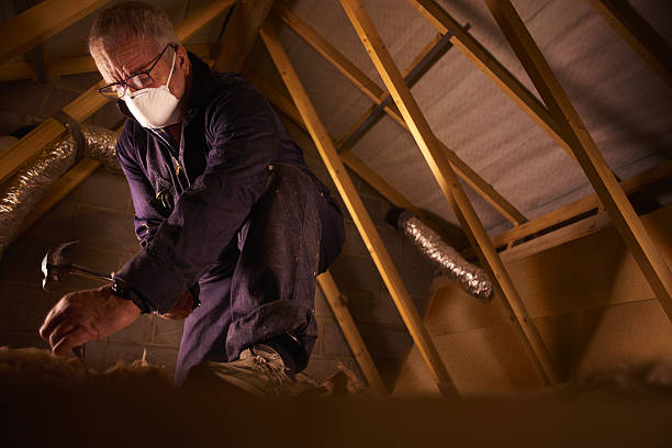 Best Energy Efficiency Insulation in Trion, GA