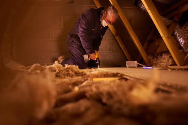Types of Insulation We Offer in Trion, GA